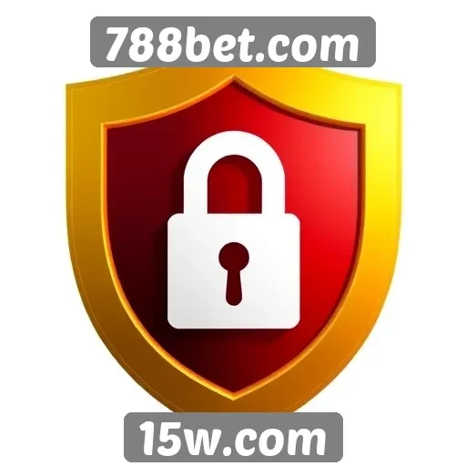 Segurança das transações no site 788bet